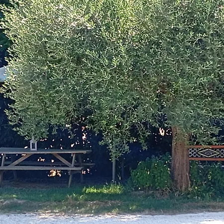 Lantgård I Due Mori *