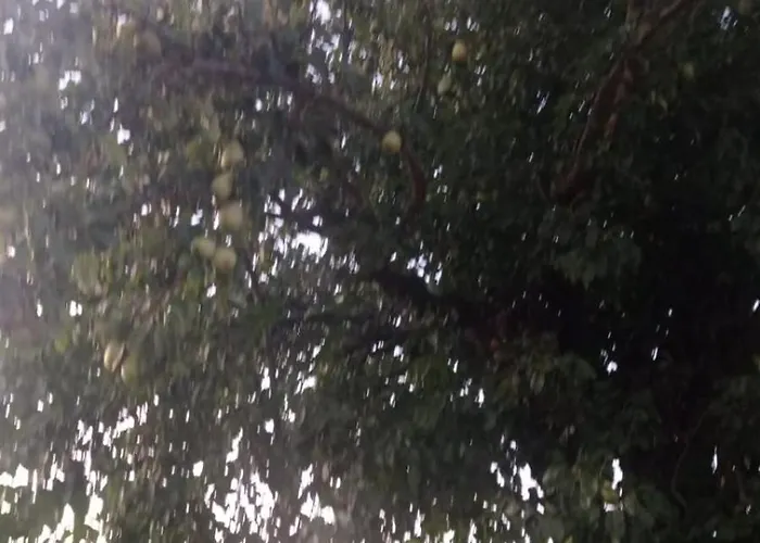 I Due Mori Farm stay Treia